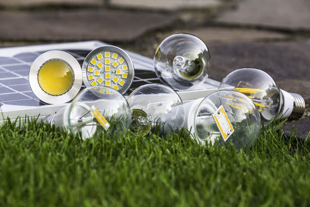 Dusk To Dawn Solar Light - Review & Buying Guide 2024