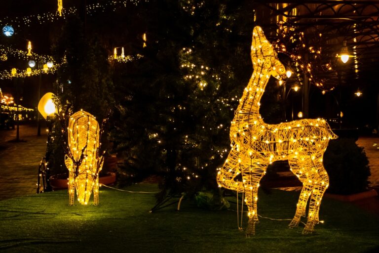 Christmas Outdoor Animated Decorations