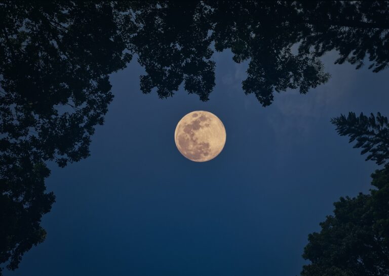 Full Moon December 2025